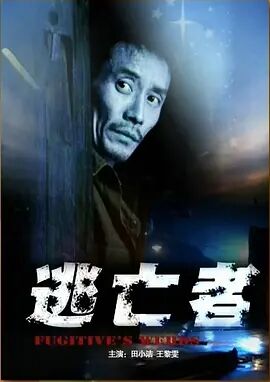 逃亡者2010